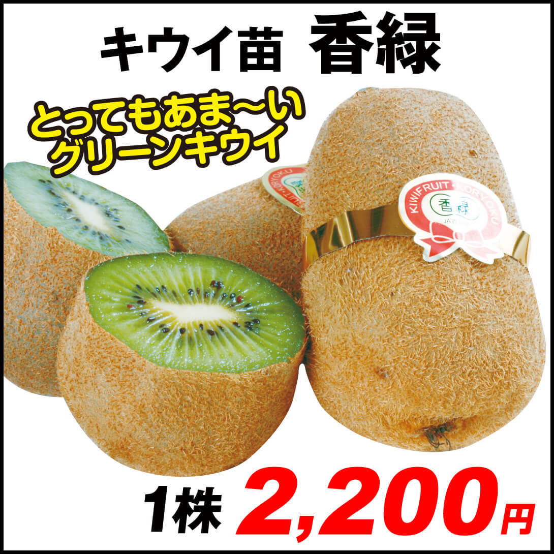 香緑