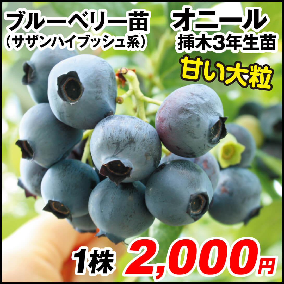 オニール