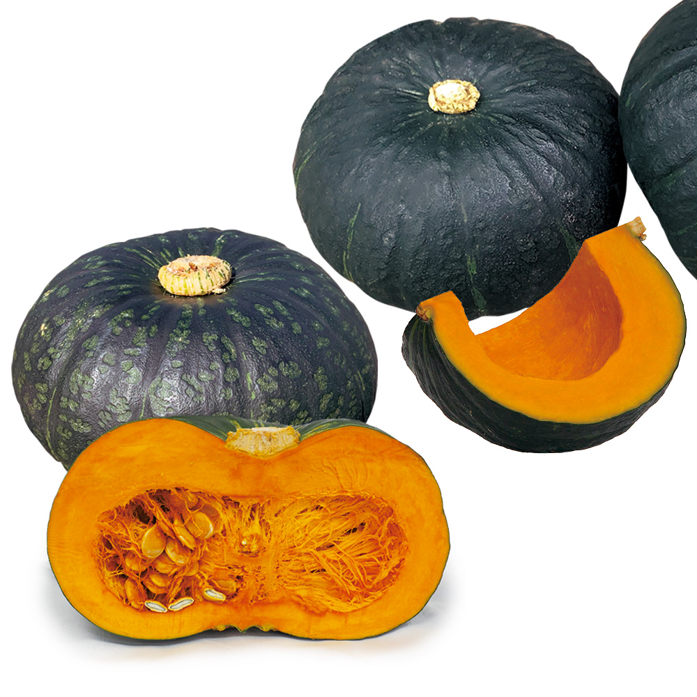 実生野菜苗 カボチャ 最新おすすめカボチャセット 2種4株