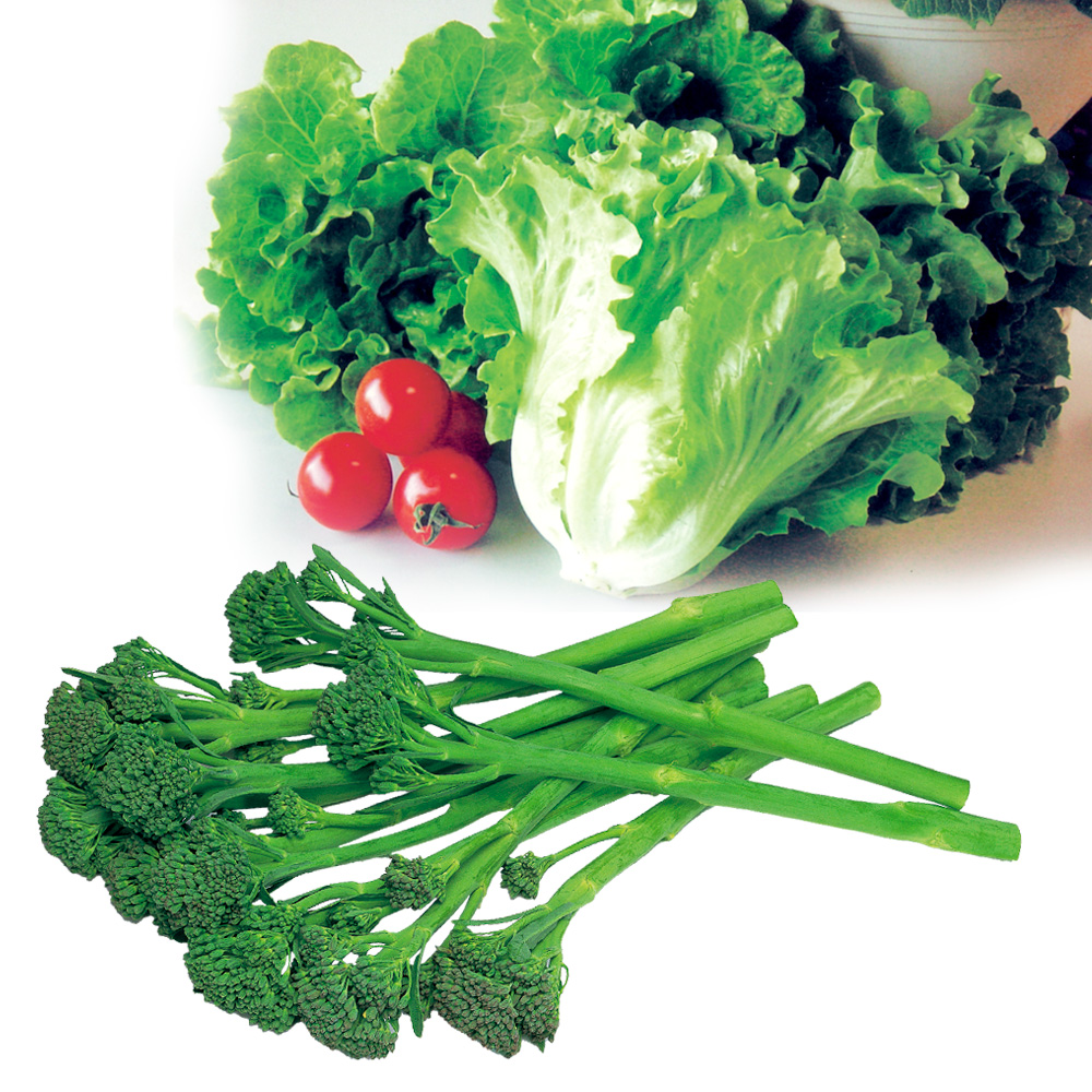 実生野菜苗 楽ラク収穫野菜セット 2種8株