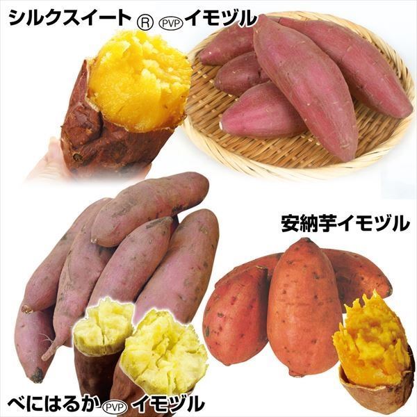 イモヅル 芋づる  大人気さつまいもイモヅルセット 3種30本 送料込み [特別セールチラシ]