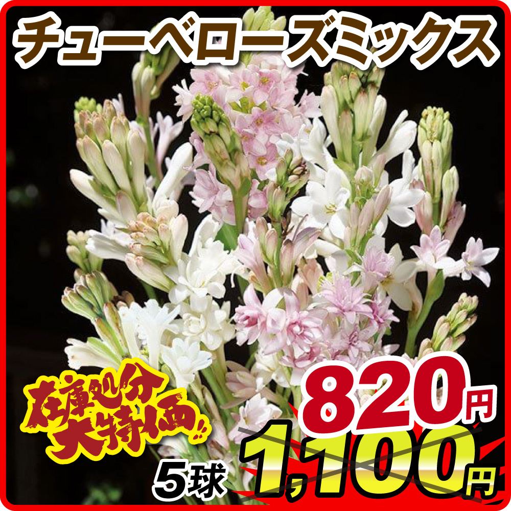 チューベローズミックス