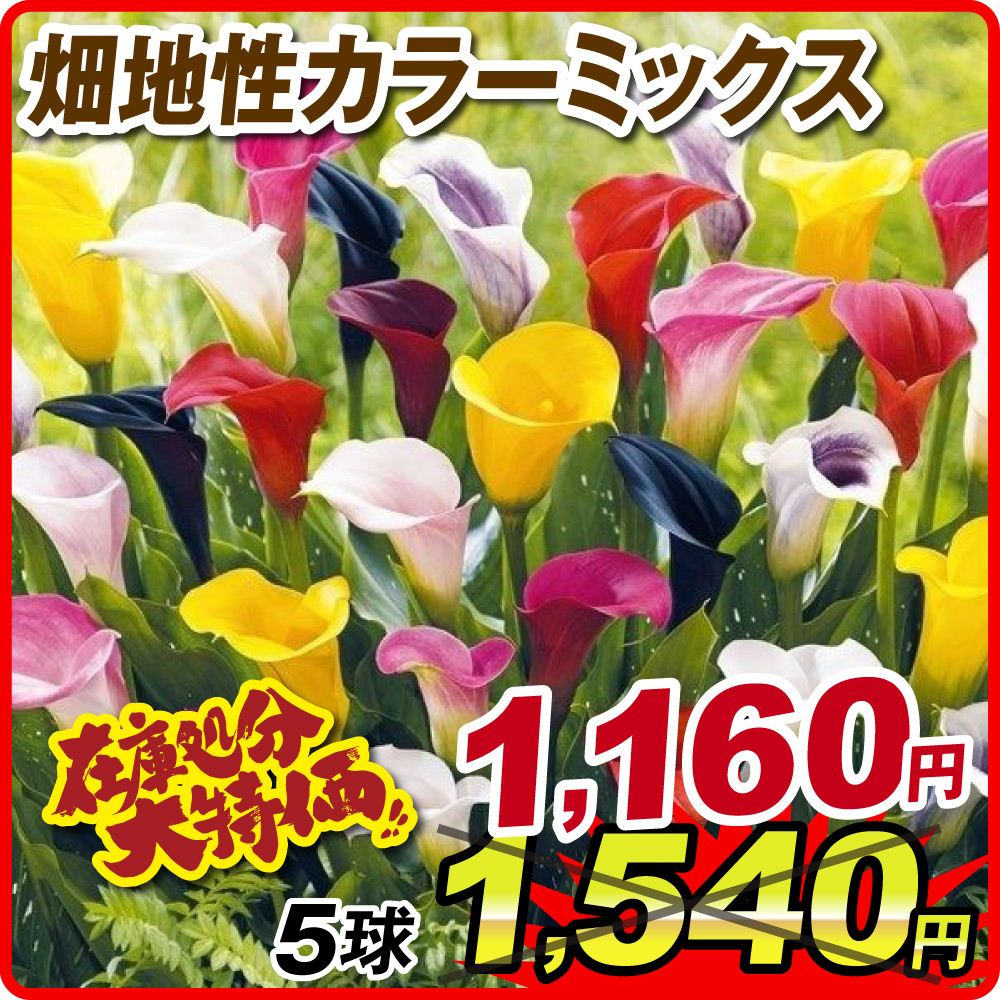 畑地性カラーミックス
