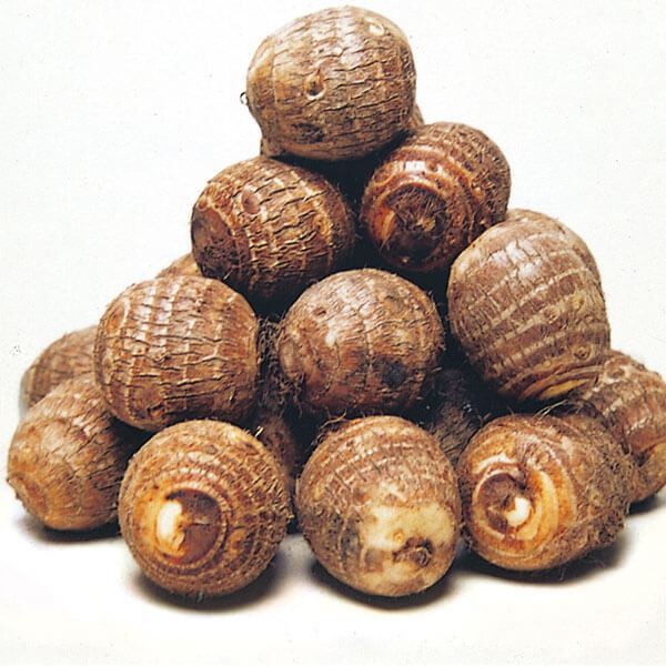 里いも種芋 大野イモ