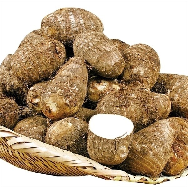 種いも 里いも 千葉産 土垂