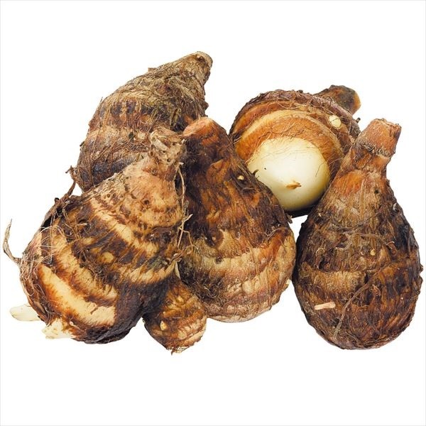 種いも 里いも 八ツ子