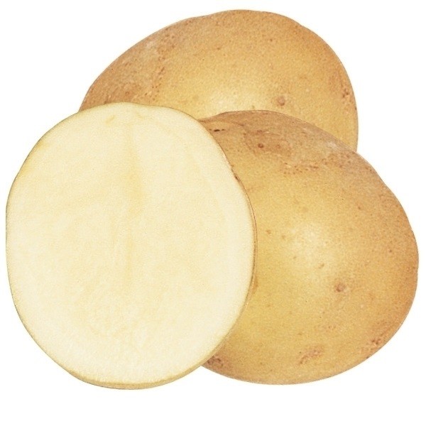 じゃがいも種芋 トヨシロ 1kg