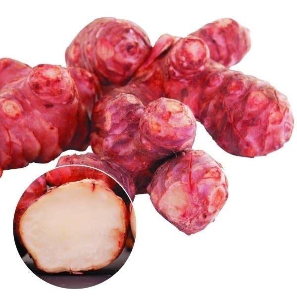 種いも キクイモ 紫キクイモ