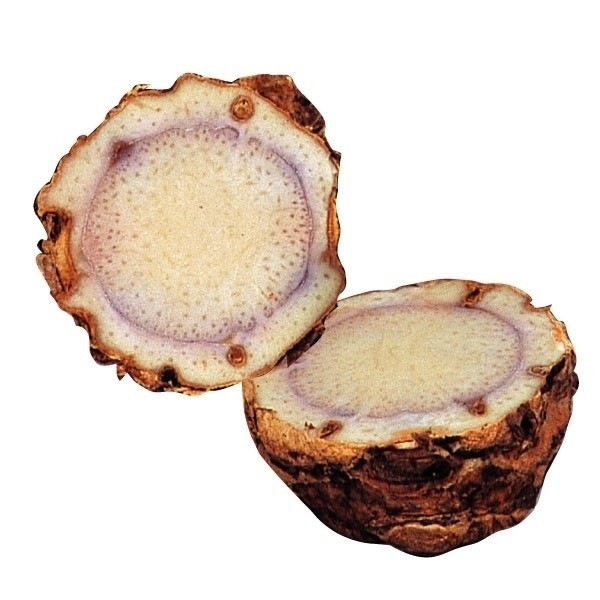 種芋 ウコン 紫ウコン(種イモ)