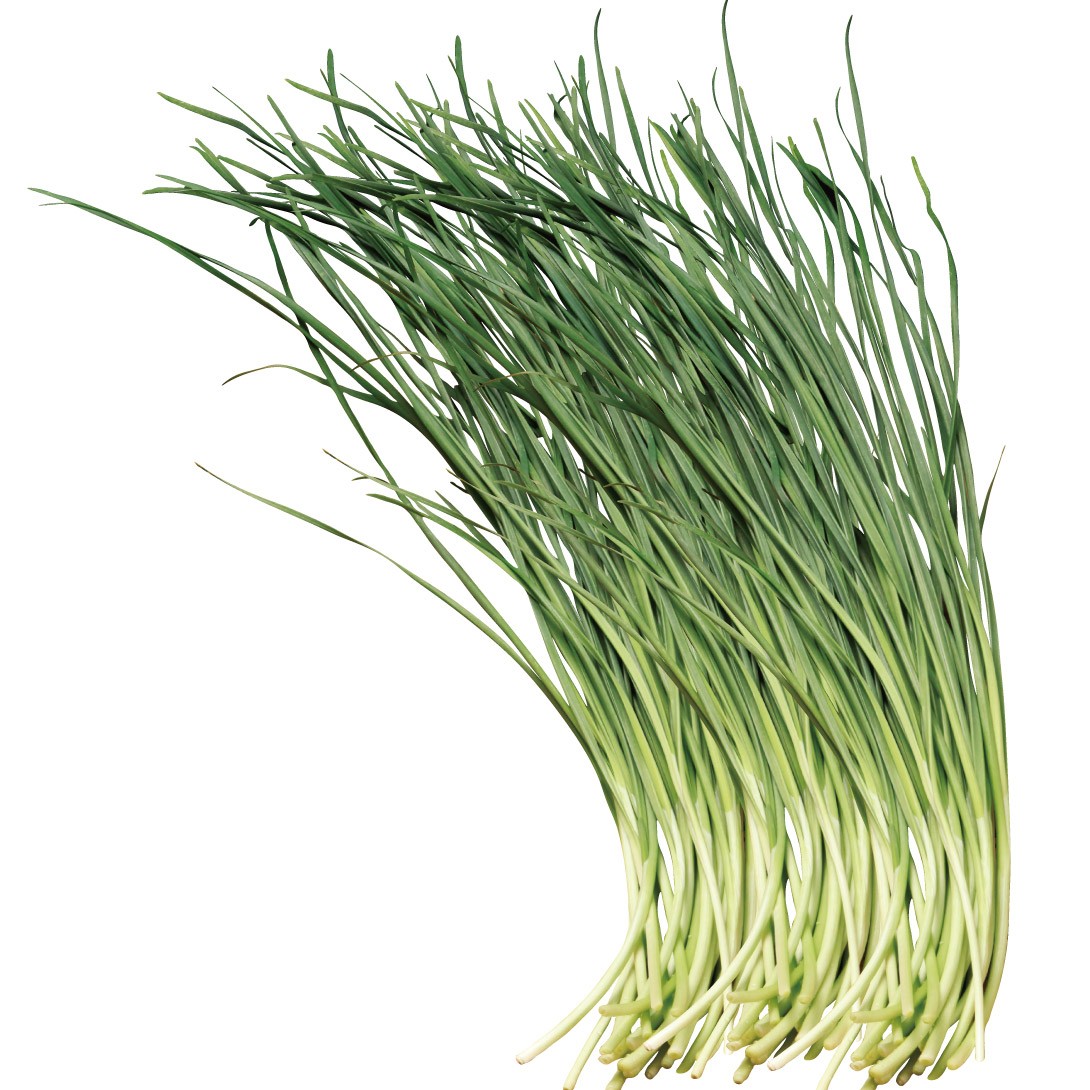 ネギニラ なかみどり