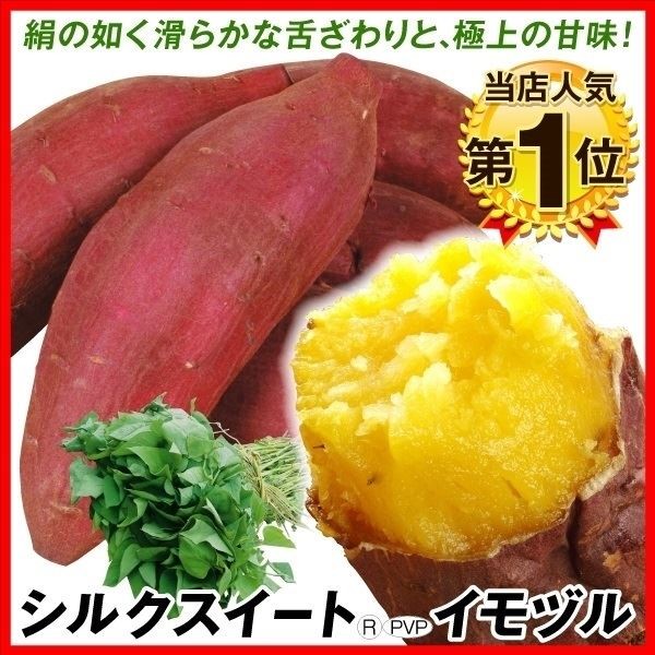 イモヅル 芋づる シルクスイート(R)PVPイモヅル