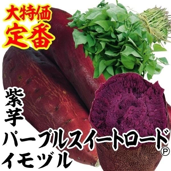 イモヅル 芋づる パープルスイートロードイモヅル