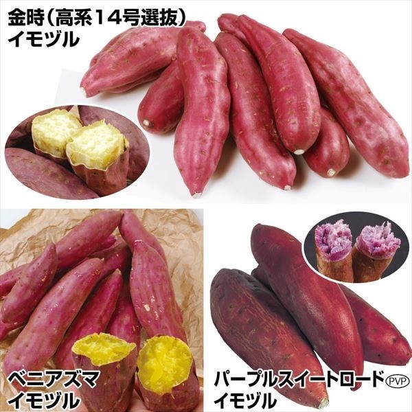 イモヅル 芋づる 定番さつまいもイモヅルセット