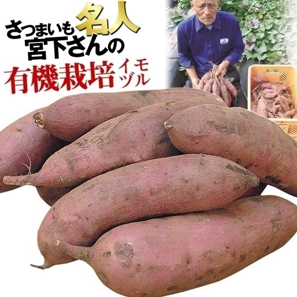 イモヅル 芋づる 宮下さんのべにはるかPVPイモヅル