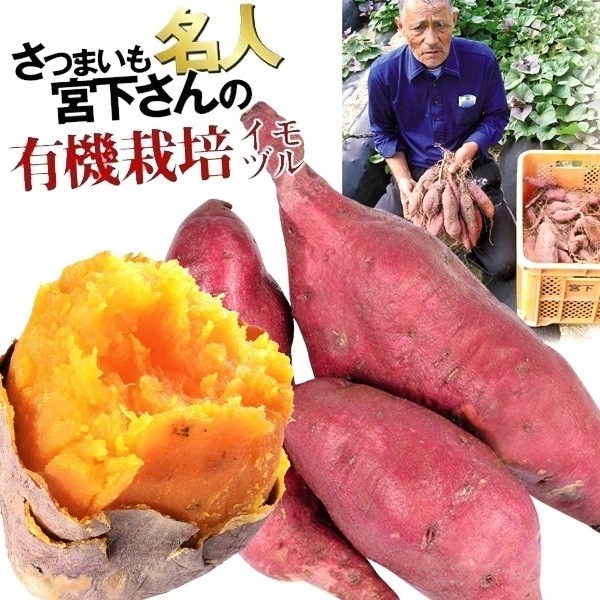 イモヅル 芋づる 宮下さんのハロウィンスウィートPVPイモヅル