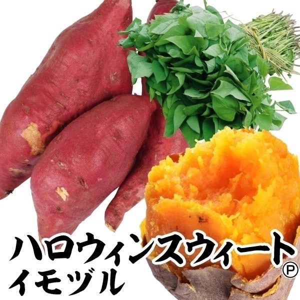 イモヅル 芋づる ハロウィンスウィートPVPイモヅル