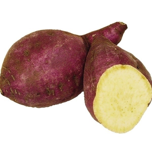 イモヅル 芋づる 紅さつまイモヅル