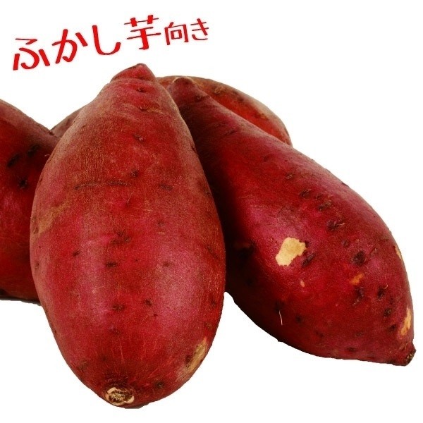 イモヅル 芋づる べにまさりPVPイモヅル