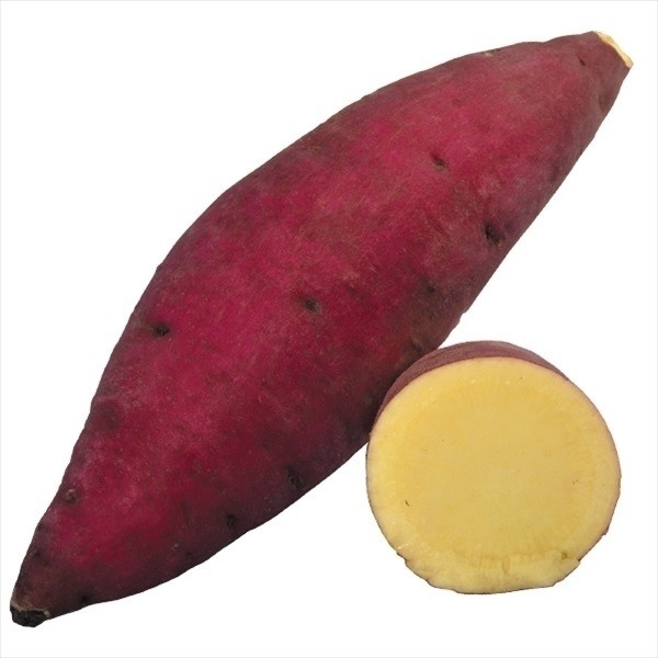 イモヅル 芋づる すずほっくりPVPイモヅル