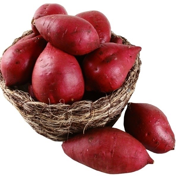 イモヅル 芋づる ひめあやかPVPイモヅル