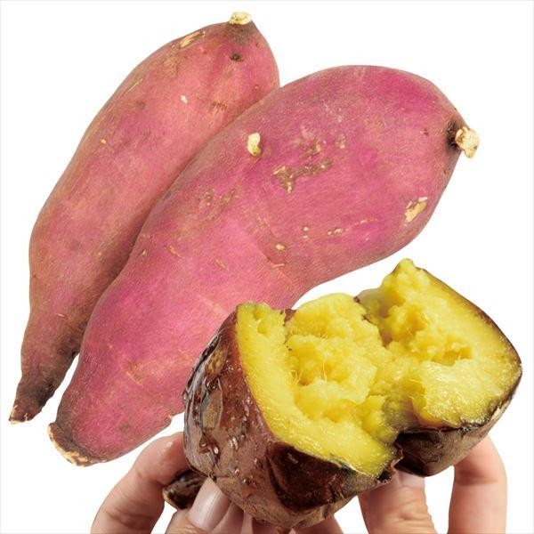 イモヅル 芋づる バイオ苗あまはづきPVP