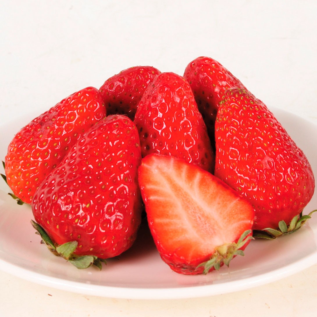 いちご苗 紅ほっぺ