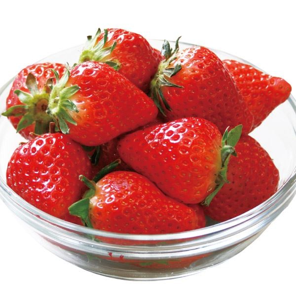 いちご苗 さがほのか