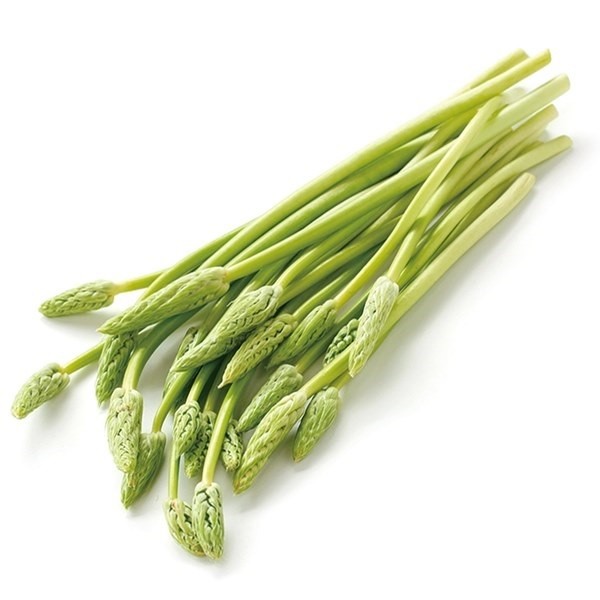 山菜苗 アスパラソバージュ