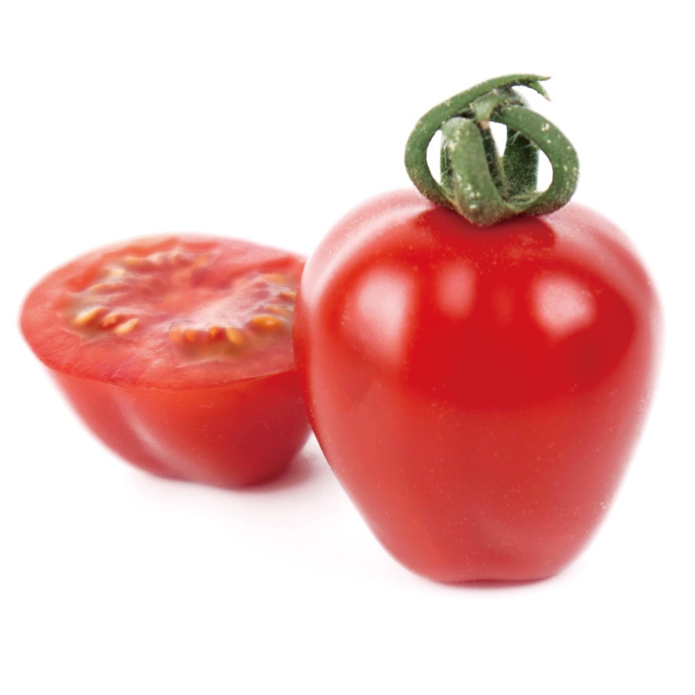 接木野菜苗 ミニトマト 接木F1TYアップルベリープレミアム