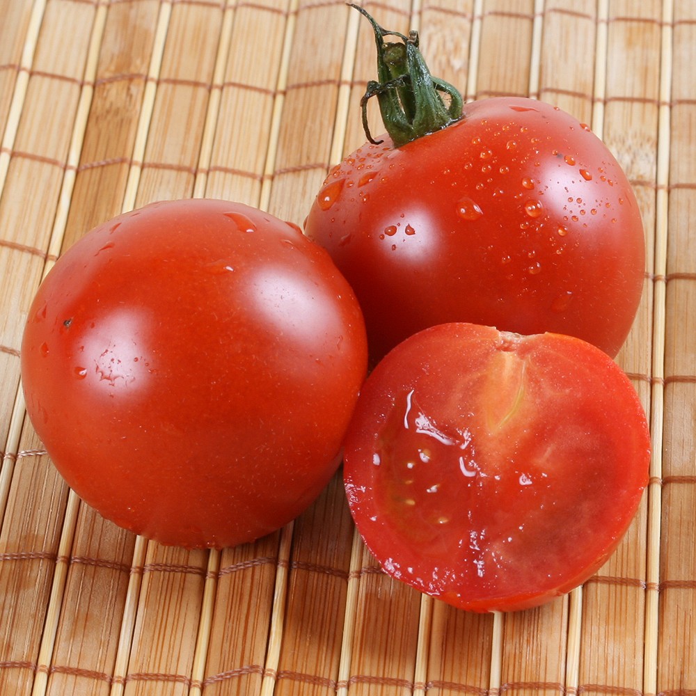 接木野菜苗 中玉トマト 接木F1華小町R（農林水産省登録品種 登録名：華の鈴）PVP