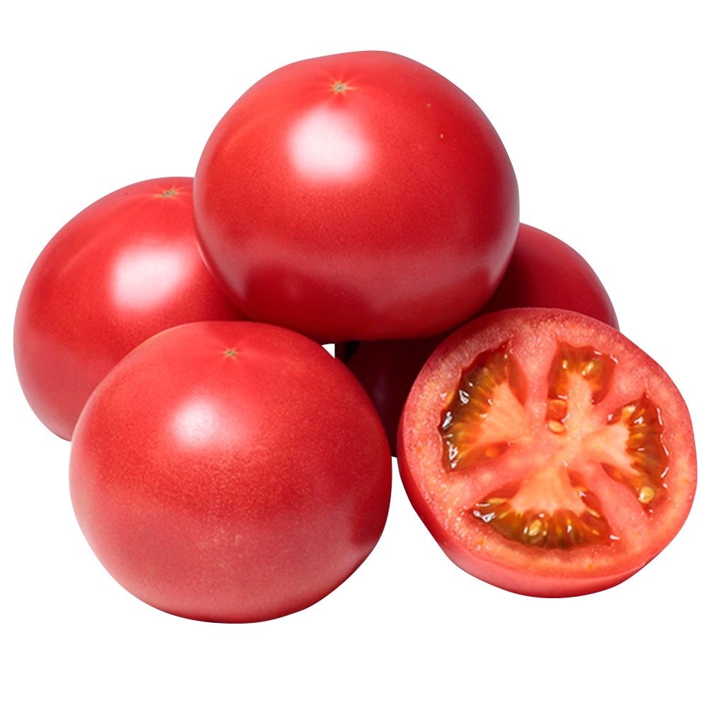 接木野菜苗（ケース販売）大玉トマト 接木F1麗月 40株 送料込み