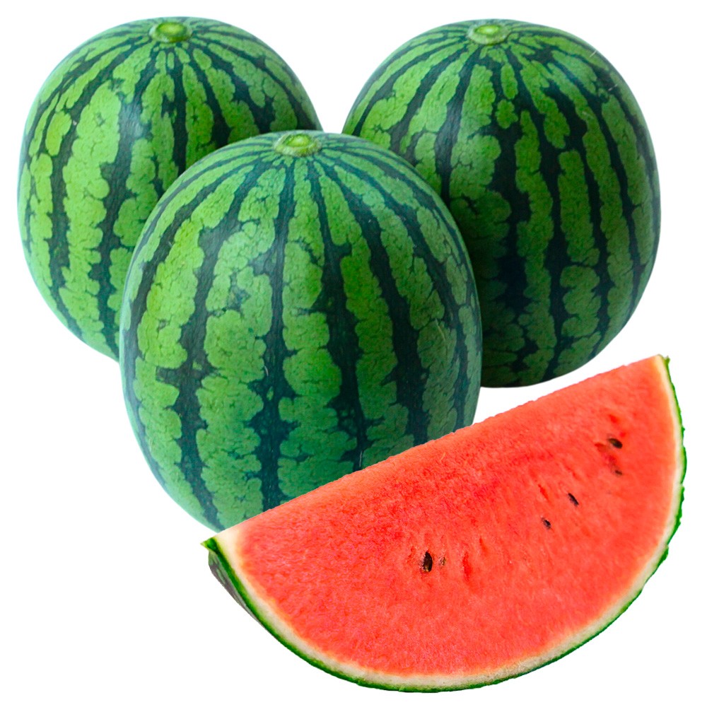 接木野菜苗 マイクロシードスイカ 接木F1ひとりじめRナノ