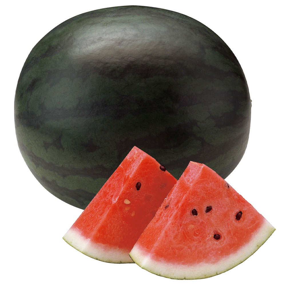 接木野菜苗 大玉スイカ 接木F1ゴスペル