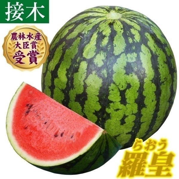 接木野菜苗 大玉スイカ 接木F1羅皇