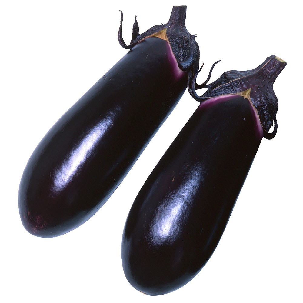 接木野菜苗（ケース販売）中長ナス 接木F1黒味 40株 送料込み