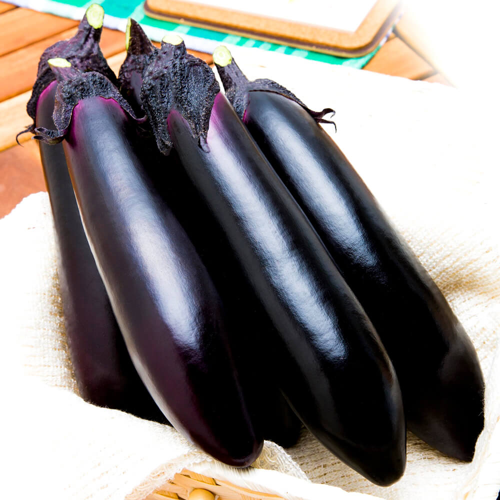 接木野菜苗（ケース販売）太長ナス 接木F1PC筑陽 40株 送料込み