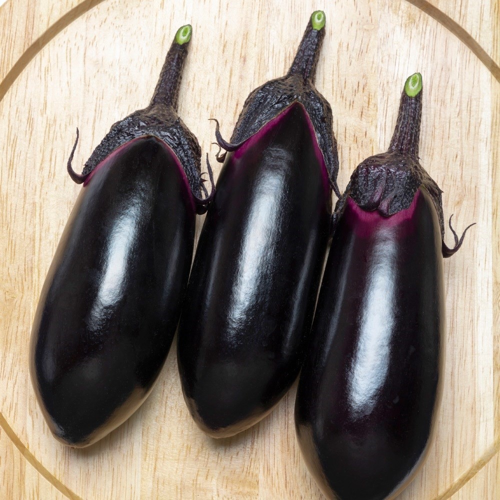 接木野菜苗（ケース販売）中長ナス 接木F1PC鶴丸R 40株 送料込み