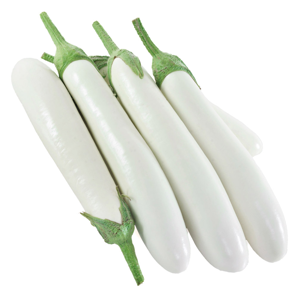 接木野菜苗（ケース販売）ナス F1しらゆきスレンダー 40株 送料込み