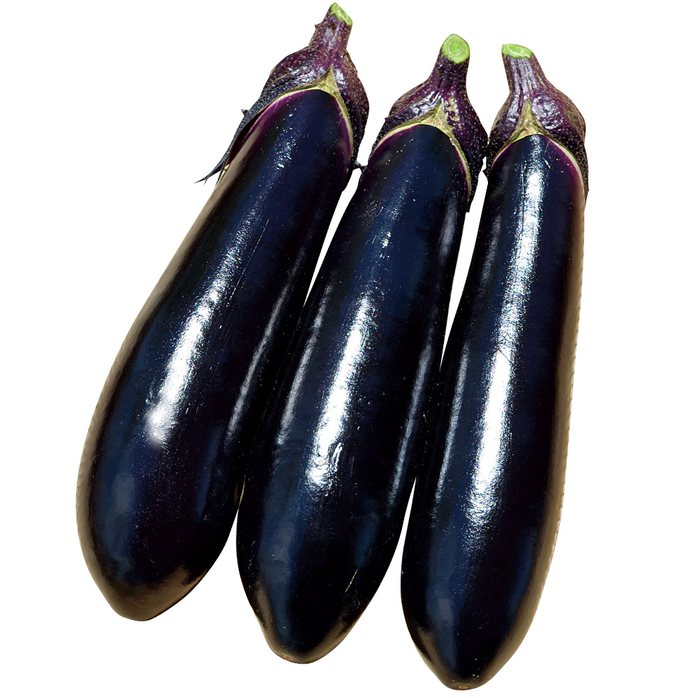 接木野菜苗（ケース販売）太長ナス F1黒稲妻 40株 送料込み