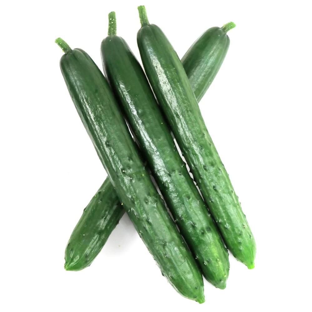 接木野菜苗 キュウリ 接木F1節成りスマート