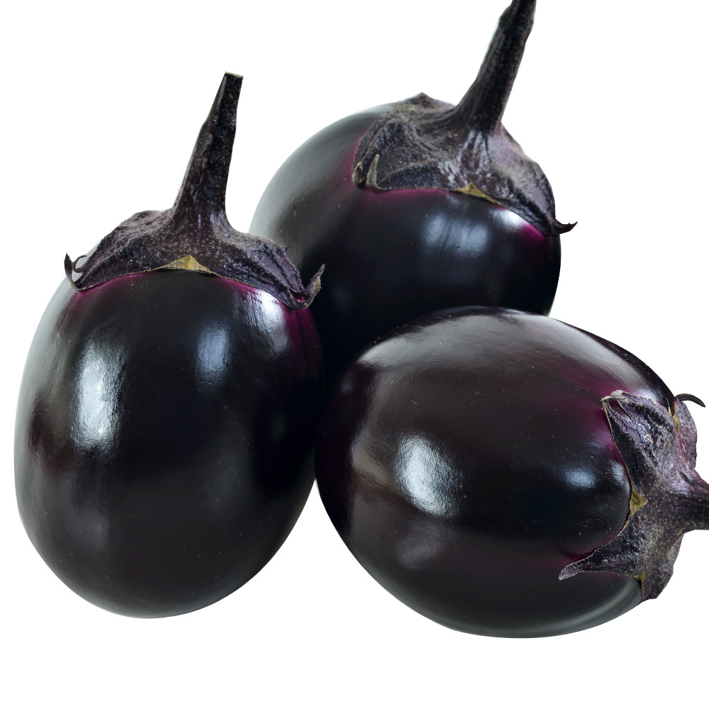 接木野菜苗（ケース販売）大丸ナス F1ドデカまる 40株 送料込み