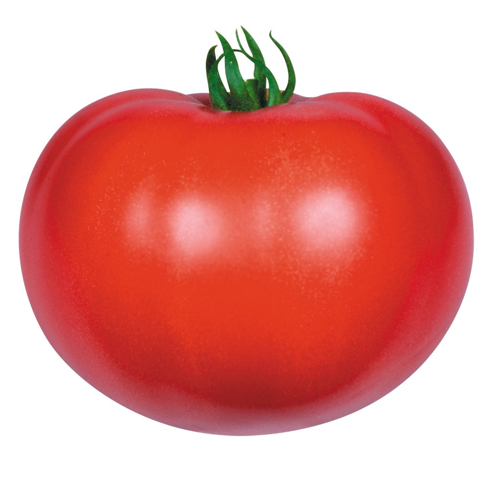 種 野菜たね トマト F1改良日向（ひなた) 1袋(0.8ml)