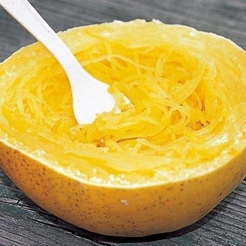 種 野菜たね カボチャ そうめん南瓜 1袋(5ml)