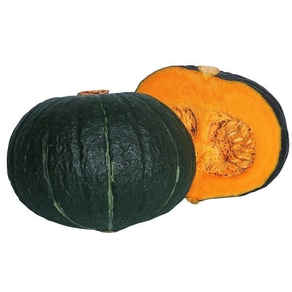 種 野菜たね カボチャ F1グリーンジャンボ 1袋(4ml)