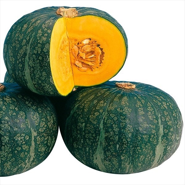 種 野菜たね カボチャ F1くりまさる 1袋(5粒)