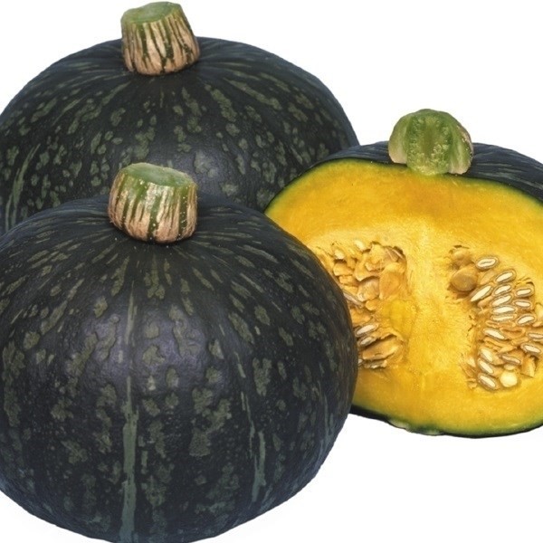 種 野菜たね カボチャ F1早生甘かぼちゃ 1袋(5ml)