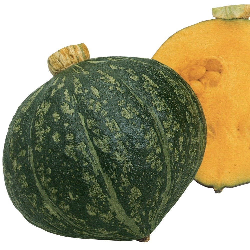 種 野菜たね カボチャ F1早生マロンハート 1袋(4ml)