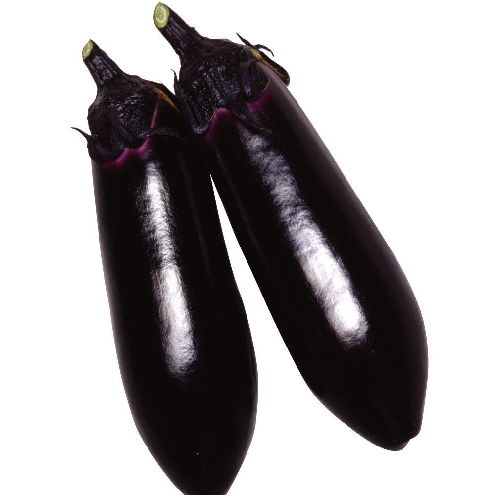 種 野菜たね ナス F1中長茄子 1袋(0.5ml)