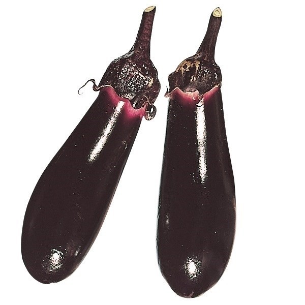 種 野菜たね ナス 早生真黒茄子 1袋(0.5ml)