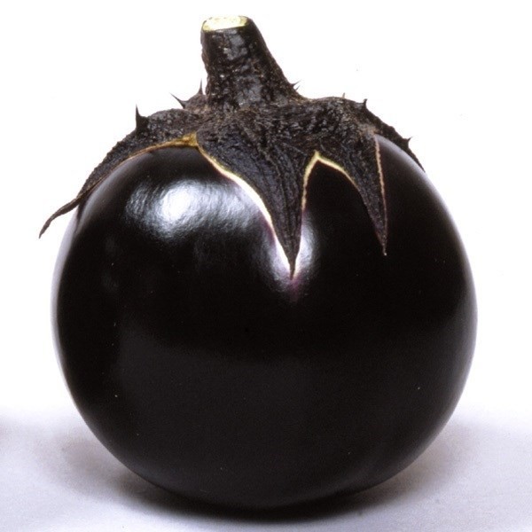 種 野菜たね ナス 賀茂なす 1袋(1ml)